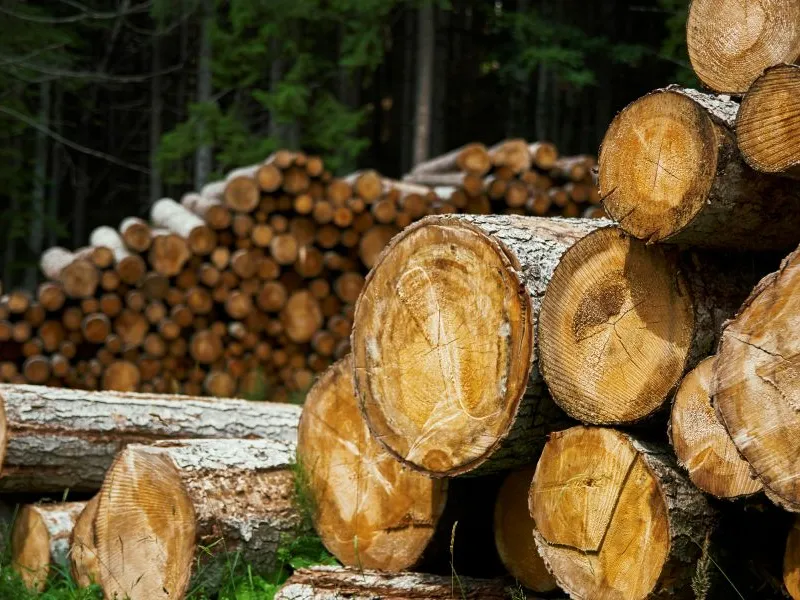 Kokmateriālu iegāde PVN deklarācijā
