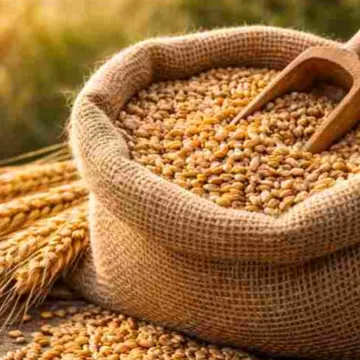 Sēklaudzētāji varēs paši drukāt produkcijas etiķetes