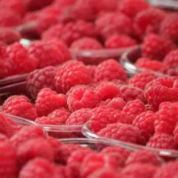 VID reģistrējamie nodokļu maksātāji 