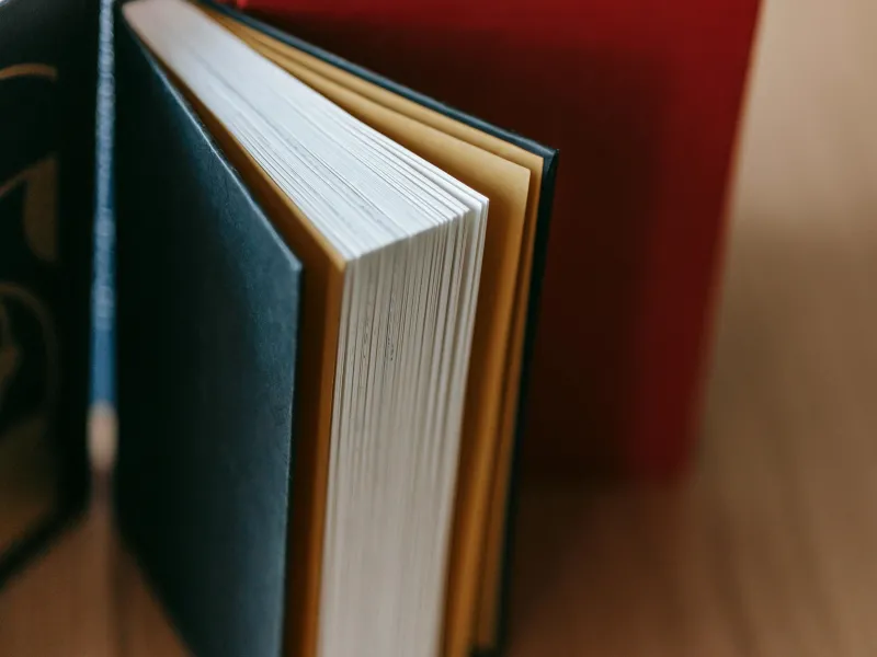 Top  jauni noteikumi interešu pārstāvības atklātības likumam