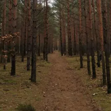 Samazināta birokrātija būvniecības procesā