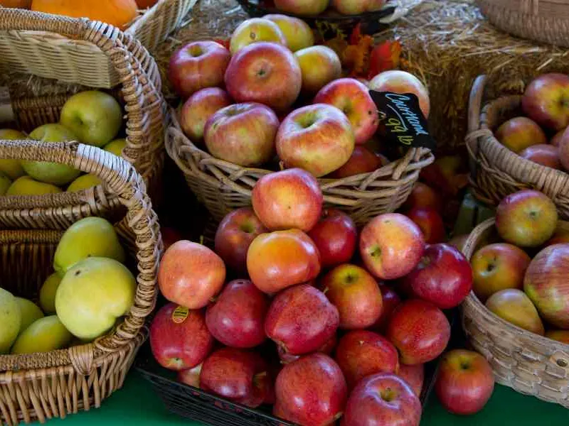 Ražotāju cenu līmenis gada laikā samazinājies par 8,9%