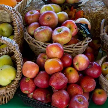 Ražotāju cenu līmenis gada laikā samazinājies par 8,9%