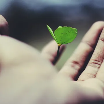 Kā novērtēt un uzlabot uzņēmuma digitālo briedumu?