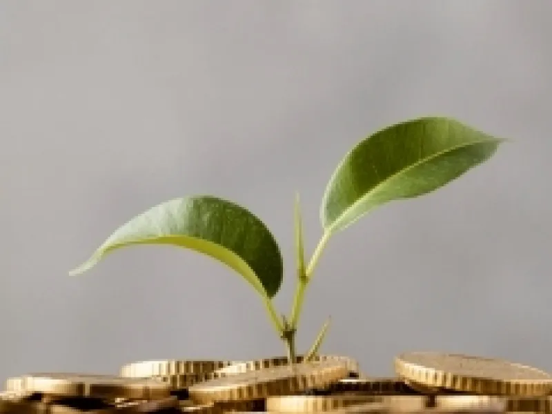 Приобретение или продажа предприятия в группе предприятий