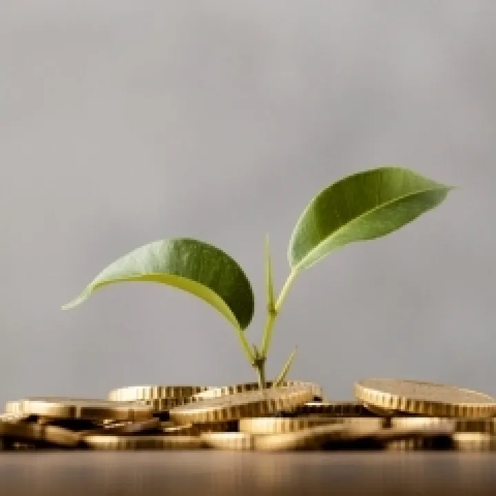 Приобретение или продажа предприятия в группе предприятий