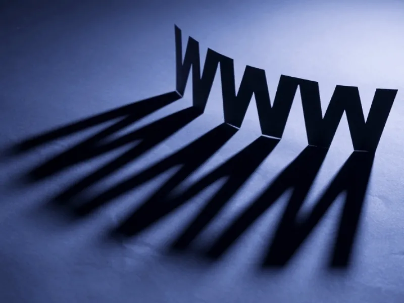 Bizness internetā: ar ko rēķināties uzņēmējam?