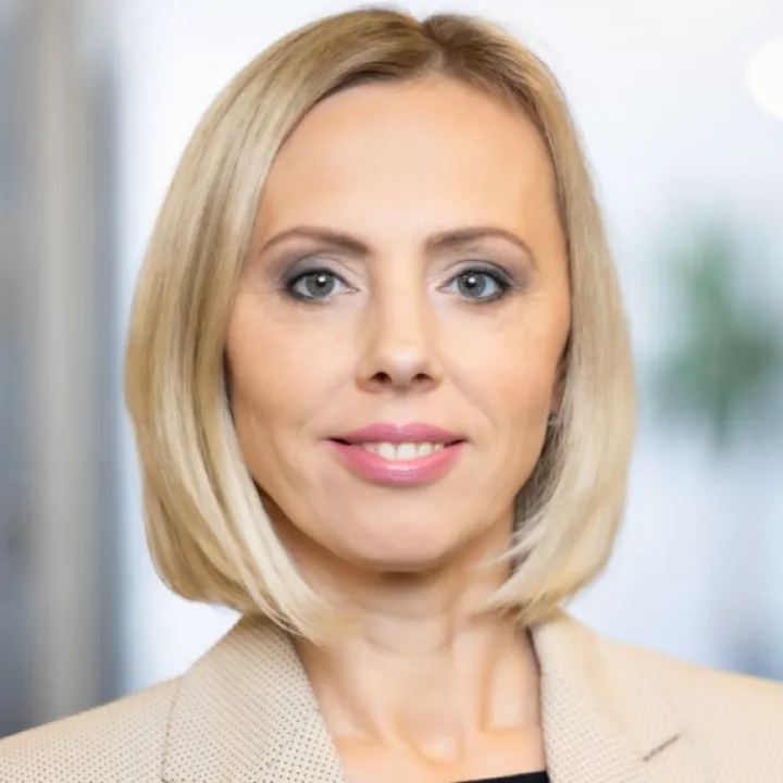 Klupšanas akmens – PVN, ja darījumi tiek sniegti ES