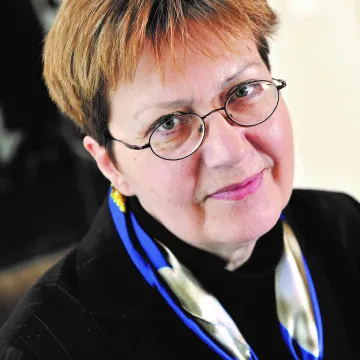 VID uzziņas analīze: domēna lietošanas tiesību iegāde